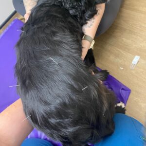 587237793_18295325290278849_1905161844585642812_n 587237793_18295325290278849_1905161844585642812_n