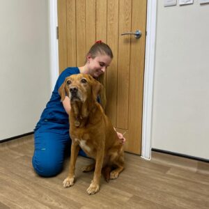 587690429_18295325266278849_6686673309059123375_n 587690429_18295325266278849_6686673309059123375_n