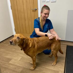 587796559_18295325281278849_3078814910259205682_n 587796559_18295325281278849_3078814910259205682_n