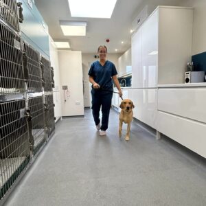Flo in dog ward