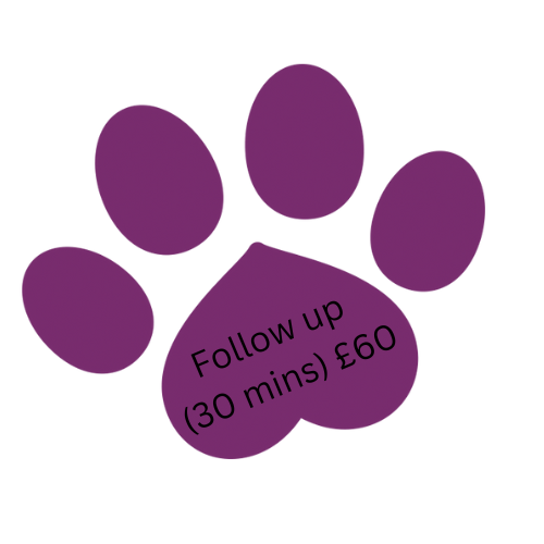 Follow up physio cost
