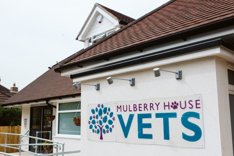 Mulberry House Vets Your Wokingham & Bracknell Vet Practice