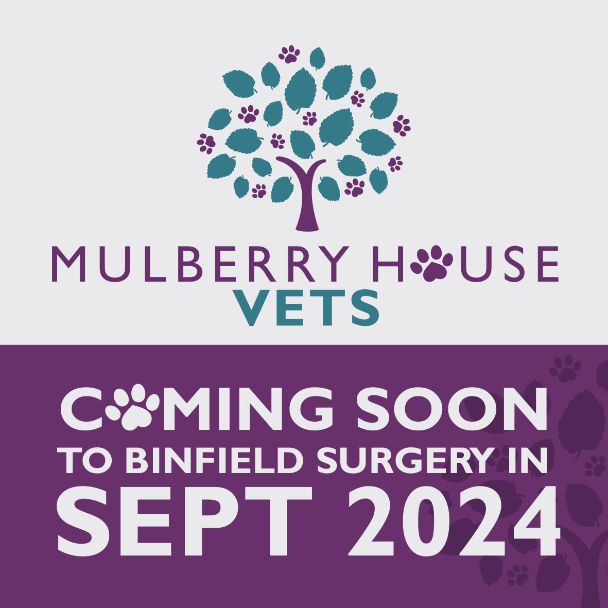 Mulberry Vets Binfield - Opening in September 2024