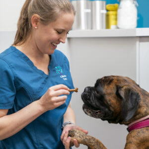Olivia with boxer