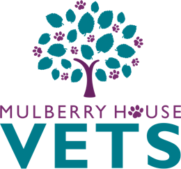 Patient Story - Loki - Mulberry House Vets