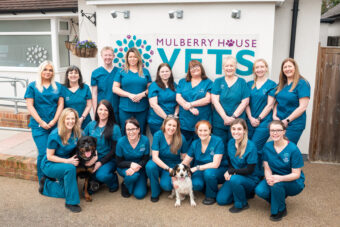 Mulberry House Vets Team