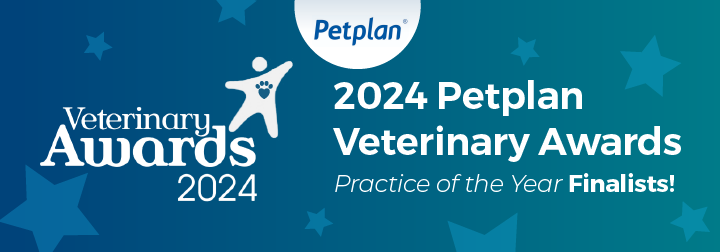 Banner image of Mulberry House Vets are Petplan Finalists!