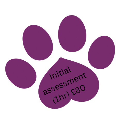 physio initial assessment